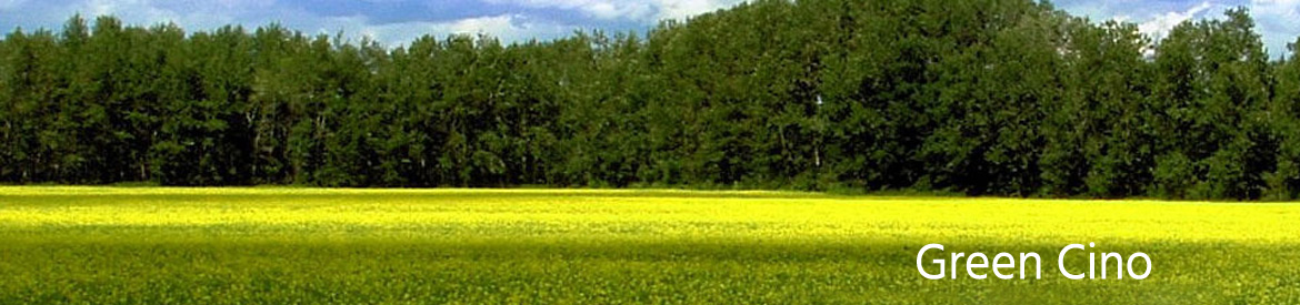 Green Cino экология
